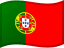 flag for Portugal temp number